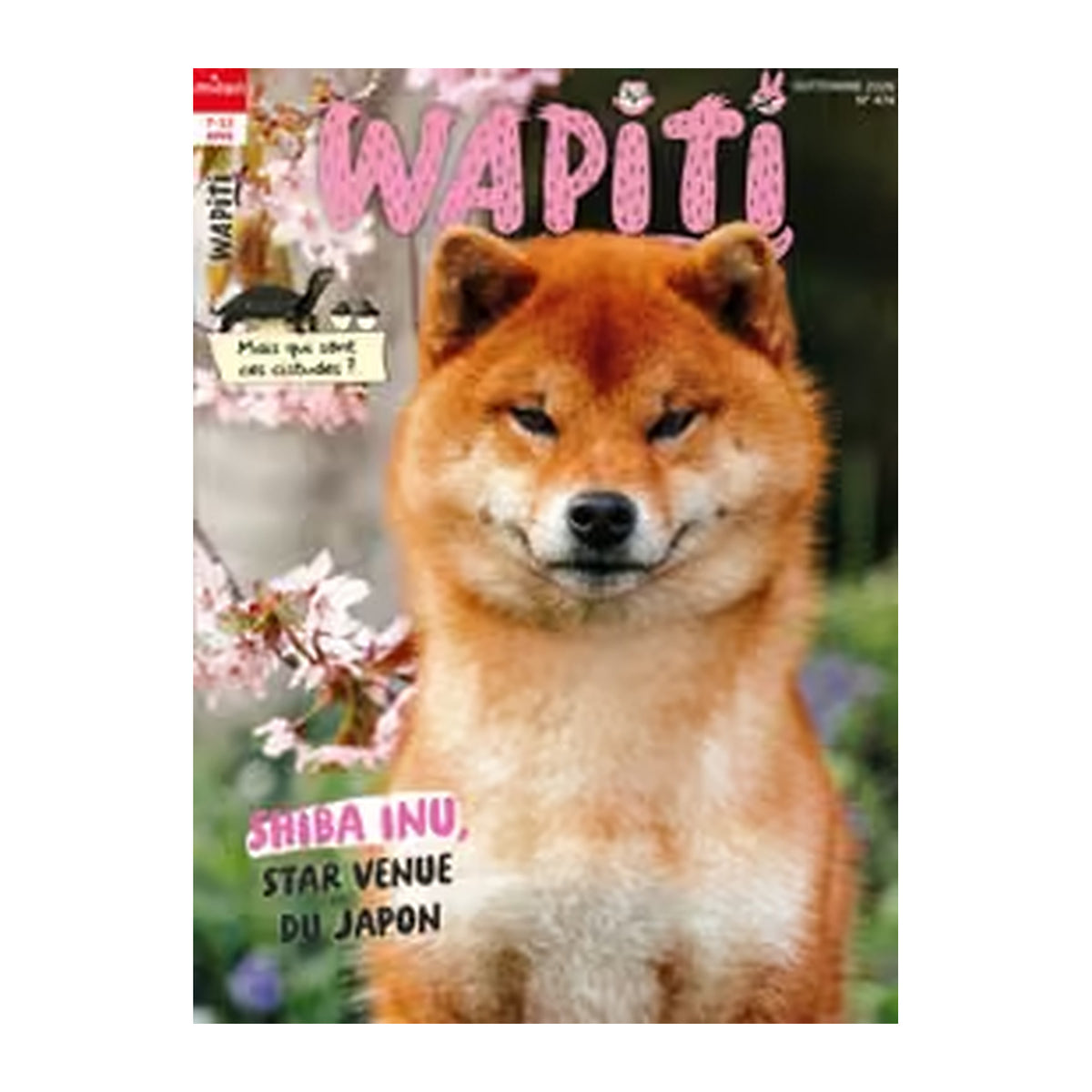 Wapiti