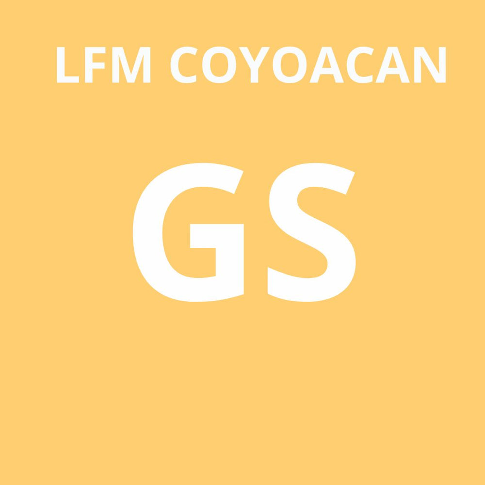 Coyoacán Pack GS